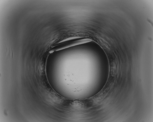X0000096460608200801311513