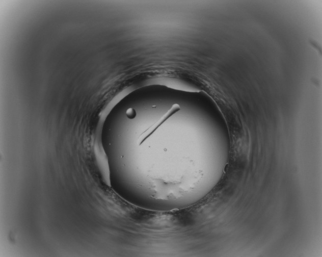 X0000096460609200801311513