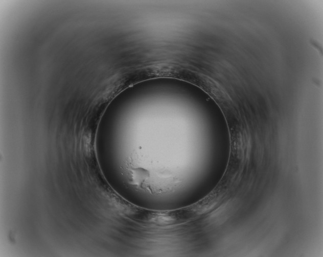 X0000096460610200801311513