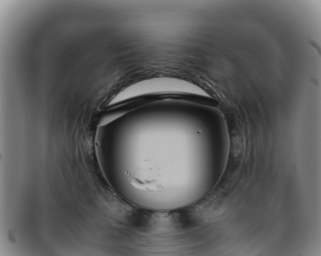 X0000096460613200801311513