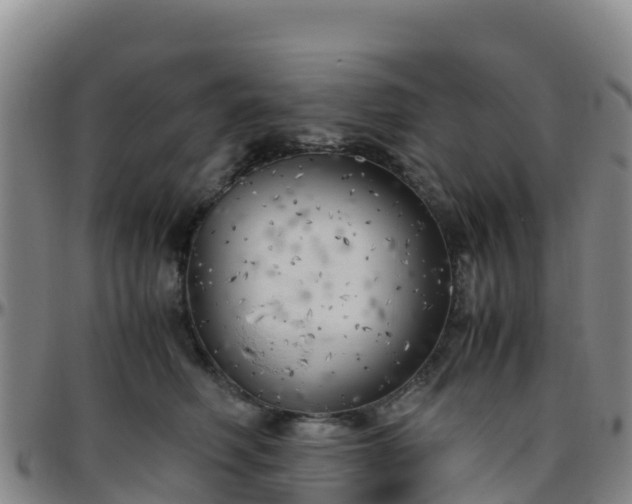 X0000096460614200801311513