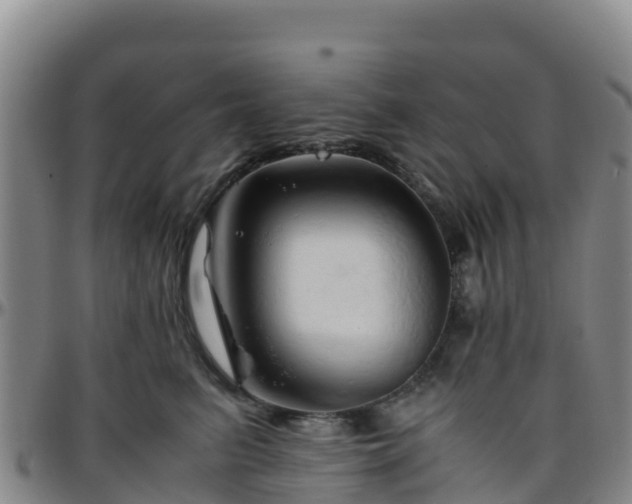 X0000096460615200801311513