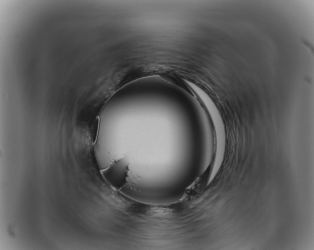 X0000096460617200801311513