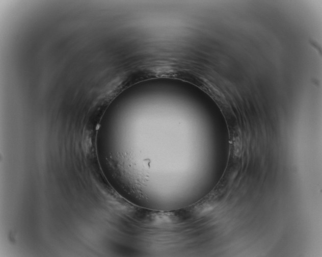 X0000096460618200801311513