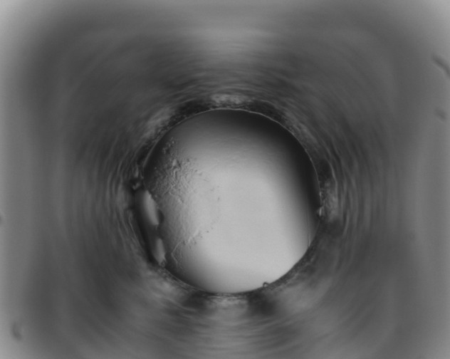 X0000096460619200801311513