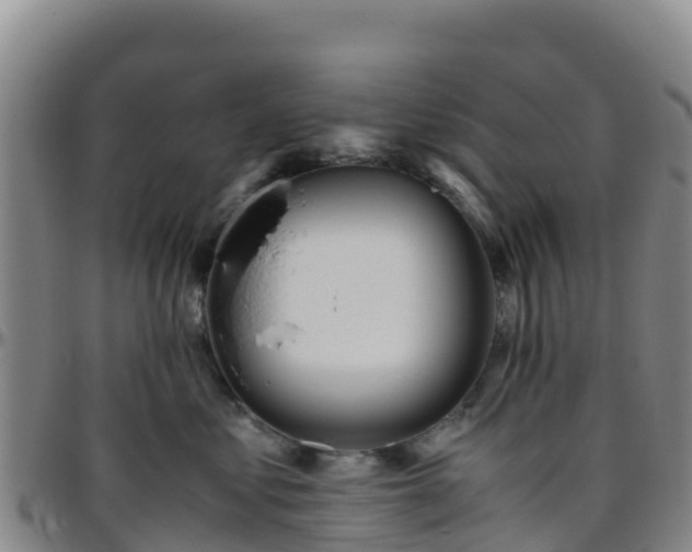 X0000096460621200801311513
