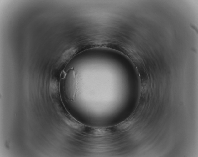 X0000096460623200801311513