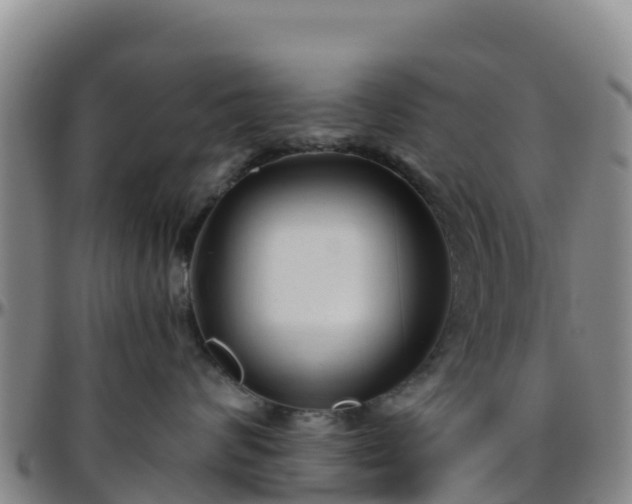 X0000096460624200801311513