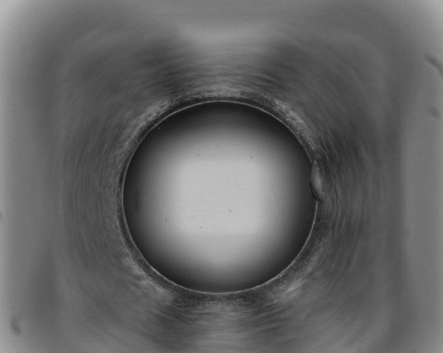 X0000096460625200801311513