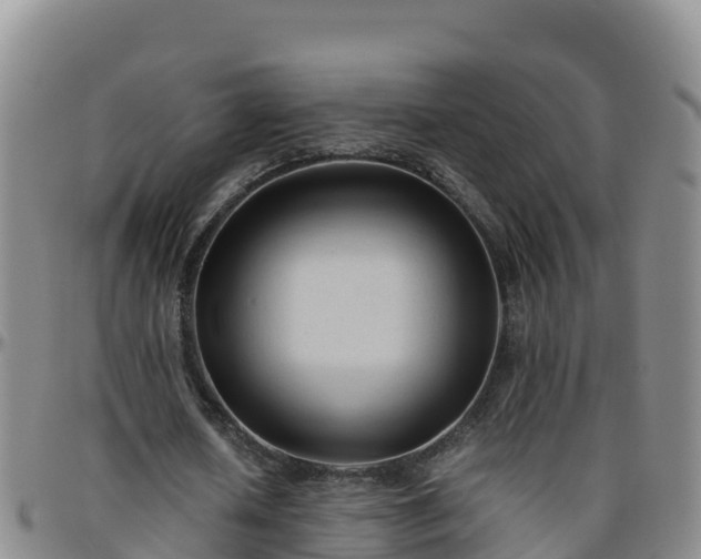 X0000096460626200801311513
