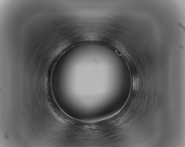 X0000096460627200801311513