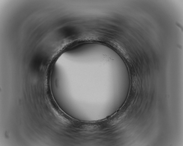 X0000096460629200801311513