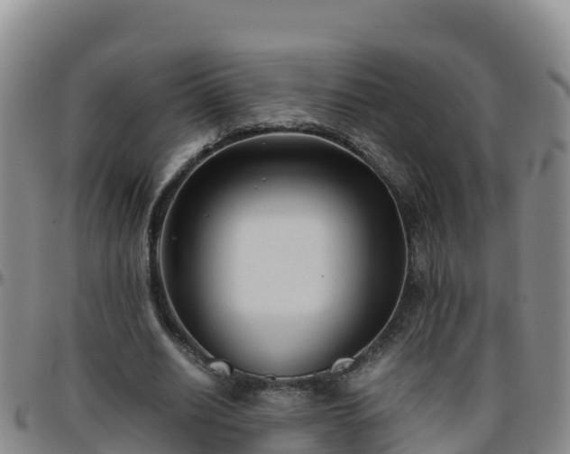 X0000096460630200801311513