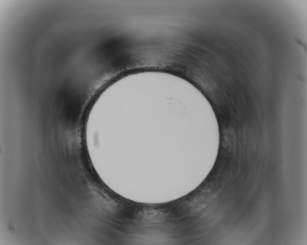 X0000096460632200801311513