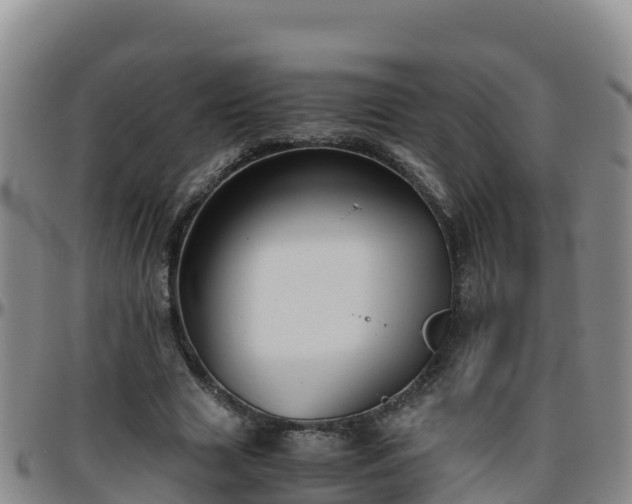 X0000096460633200801311513