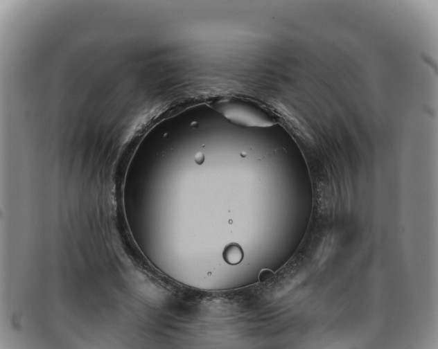 X0000096460634200801311513