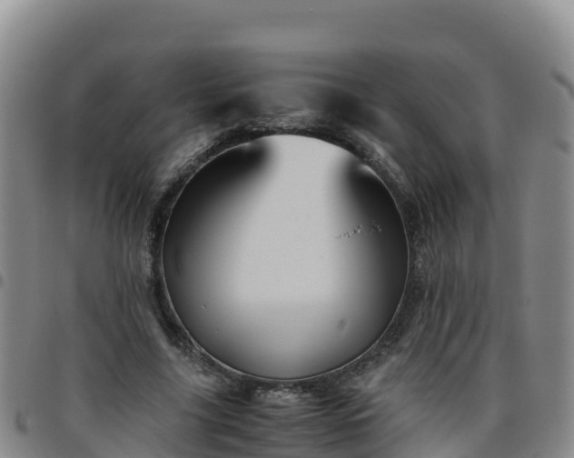 X0000096460635200801311513