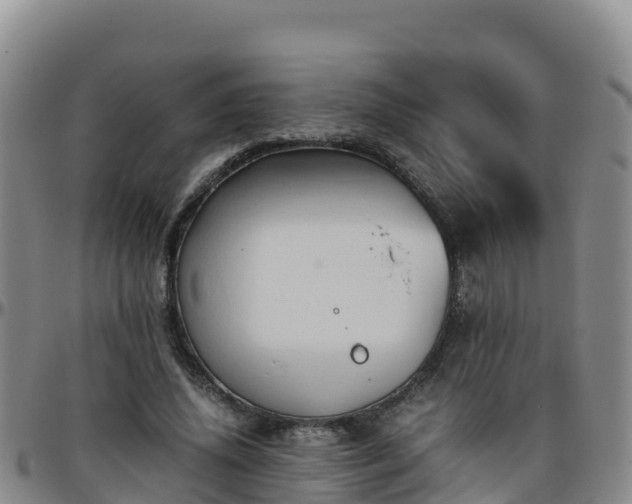 X0000096460636200801311513