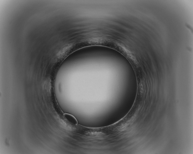 X0000096460637200801311513