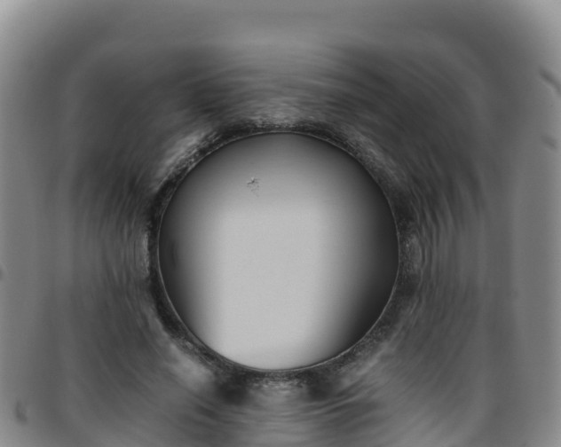 X0000096460638200801311513