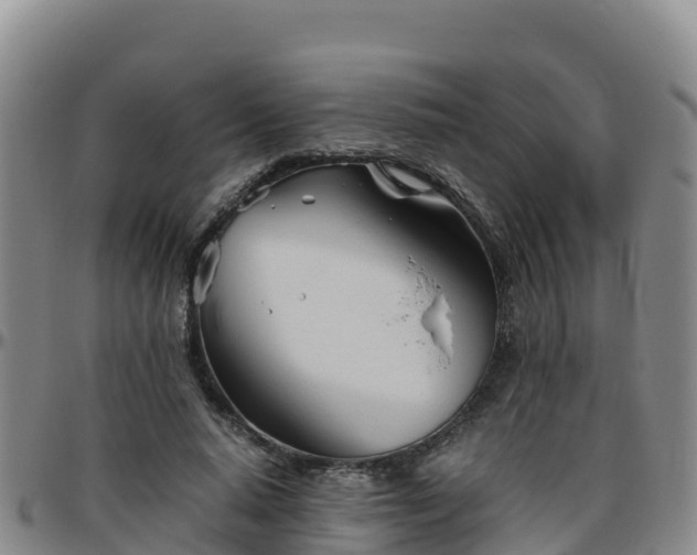X0000096460640200801311513