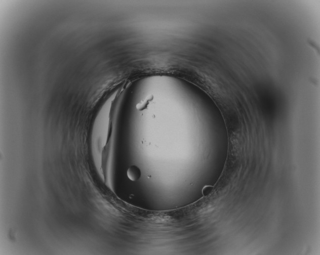 X0000096460642200801311513