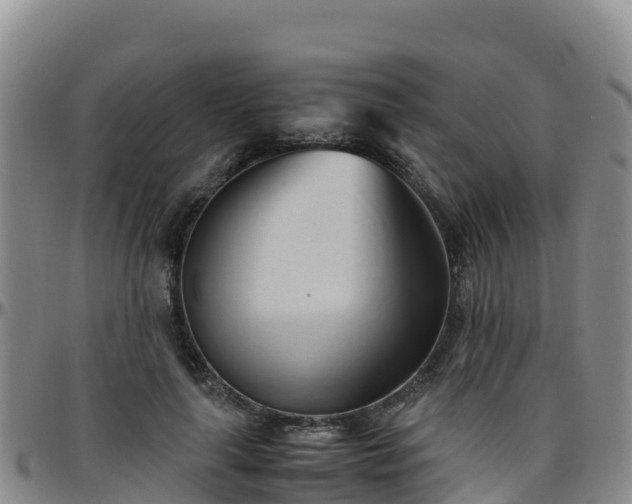X0000096460643200801311513
