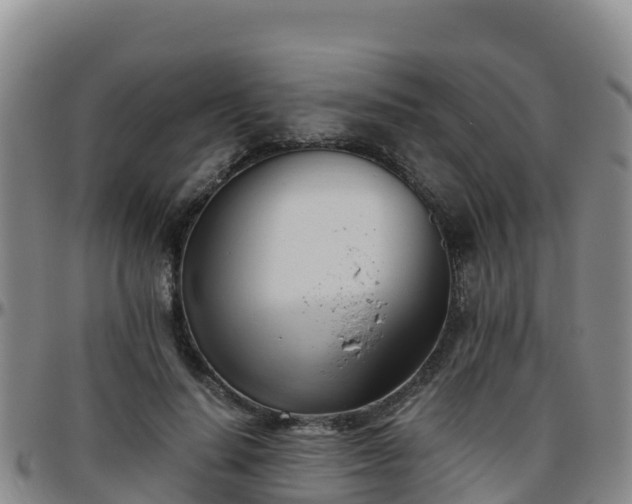 X0000096460644200801311513
