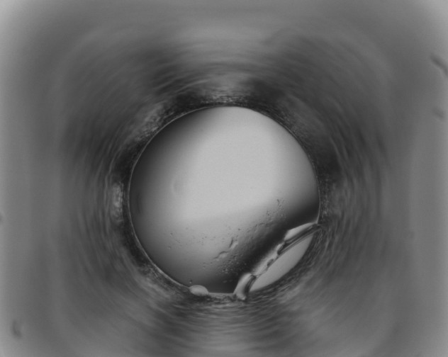 X0000096460646200801311513