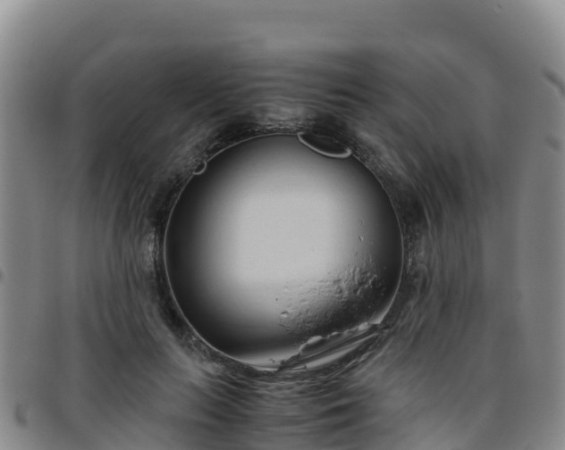 X0000096460647200801311513