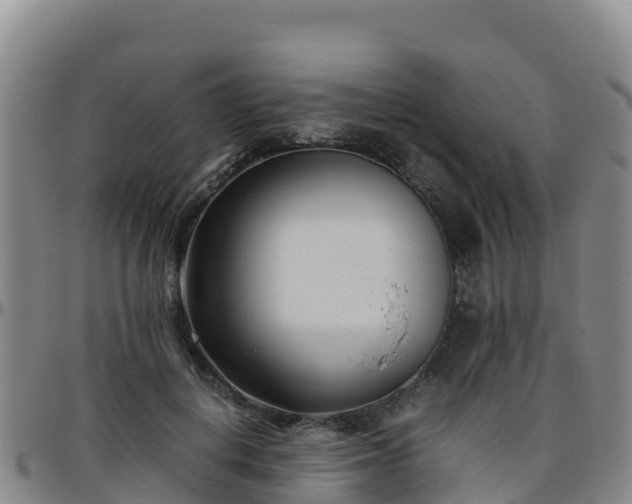 X0000096460648200801311513
