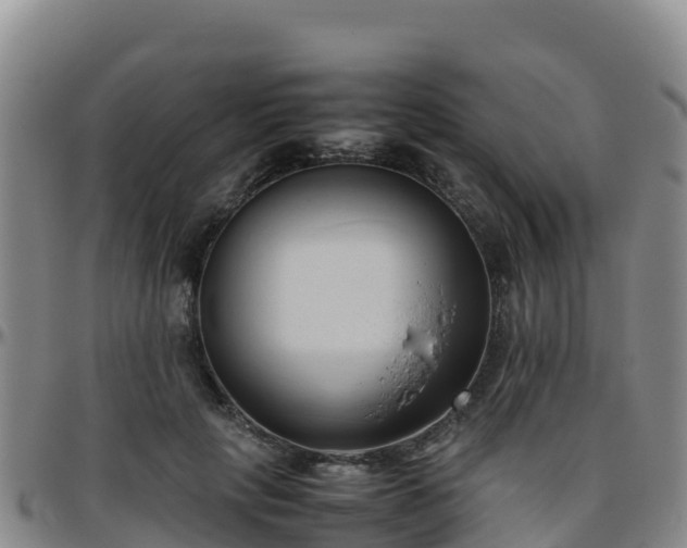 X0000096460649200801311513
