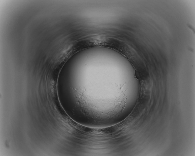 X0000096460650200801311513
