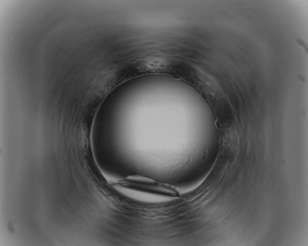 X0000096460651200801311513
