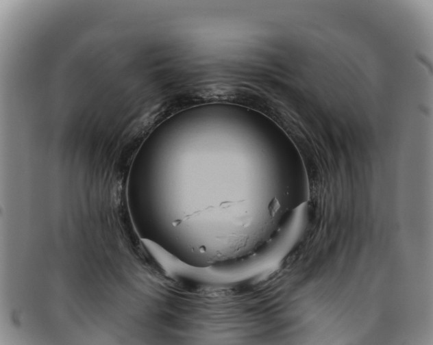 X0000096460652200801311513