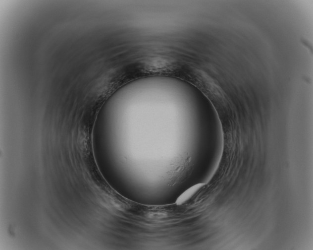 X0000096460653200801311513