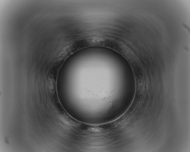 X0000096460654200801311513