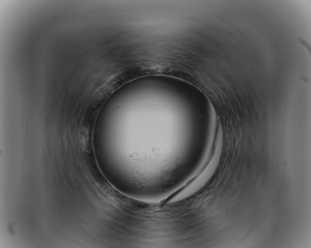 X0000096460656200801311513