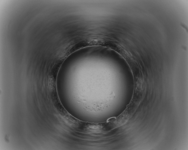 X0000096460659200801311513