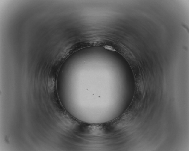 X0000096460660200801311513