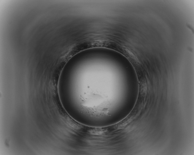 X0000096460661200801311513