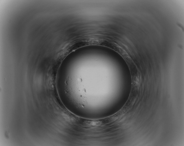 X0000096460663200801311513