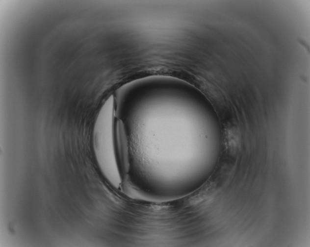 X0000096460664200801311513