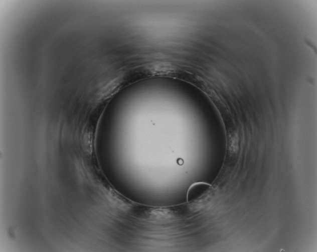 X0000096460666200801311513