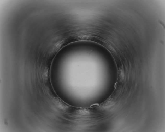 X0000096460668200801311513