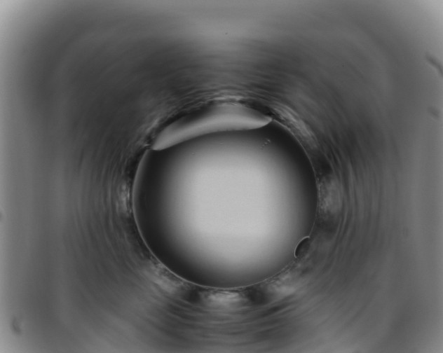 X0000096460669200801311513