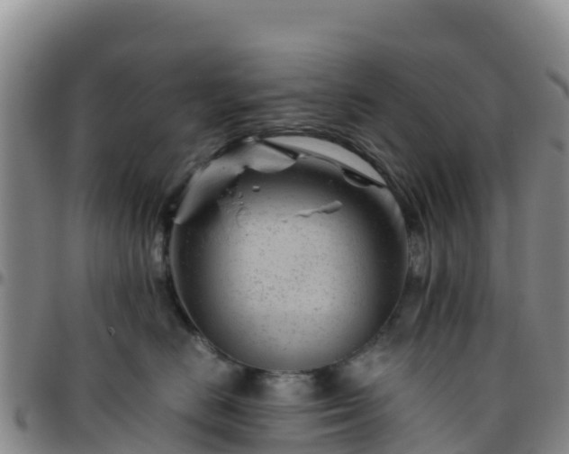 X0000096460670200801311513