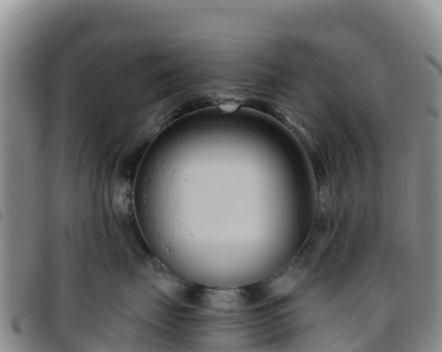 X0000096460671200801311513