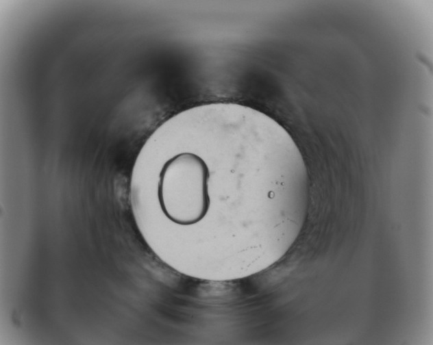 X0000096460672200801311513