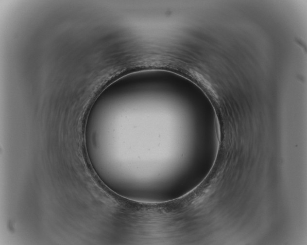 X0000096460673200801311512